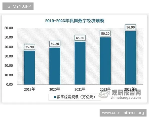 冠竞体育在推动体育产业数字化转型中的关键作用与未来发展趋势分析