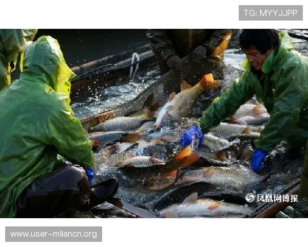 博鱼官网下载官方公告，获取最新版本信息和官方活动通知