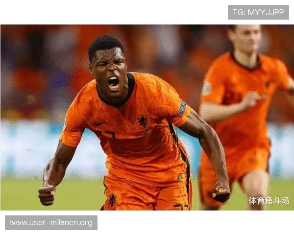 如何应对米兰体育网址登录线路异常问题确保顺畅观看比赛直播